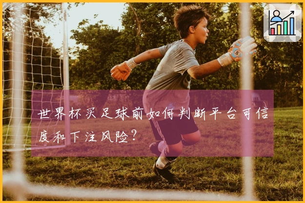 世界杯买足球前如何判断平台可信度和下注风险？