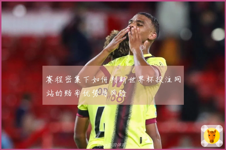 赛程密集下如何判断世界杯投注网站的赔率优势与风险