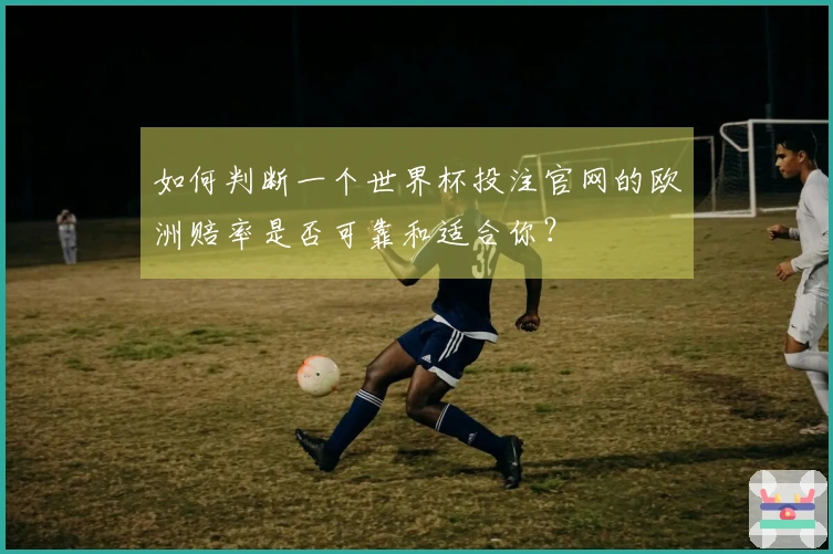 如何判断一个世界杯投注官网的欧洲赔率是否可靠和适合你？