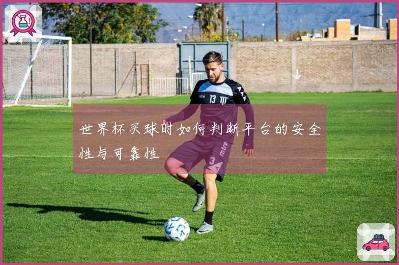 世界杯买球时如何判断平台的安全性与可靠性