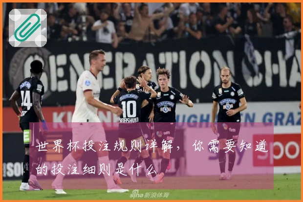 世界杯投注规则详解，你需要知道的投注细则是什么