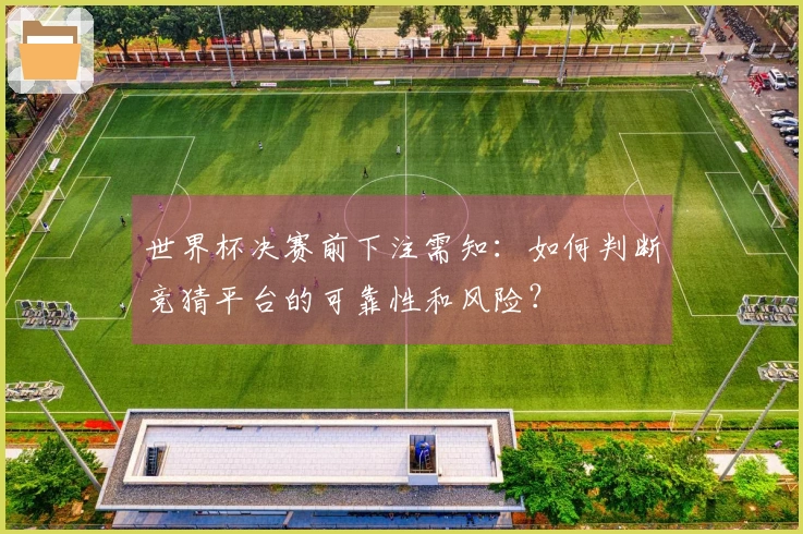 世界杯决赛前下注需知：如何判断竞猜平台的可靠性和风险？