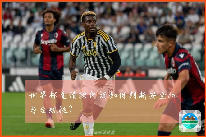 世界杯竞猜软件该如何判断安全性与合规性？