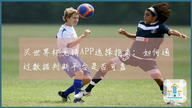 买世界杯竞猜APP选择指南：如何通过数据判断平台是否可靠