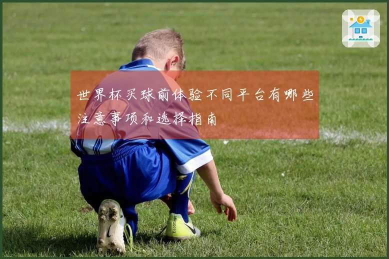 世界杯买球前体验不同平台有哪些注意事项和选择指南
