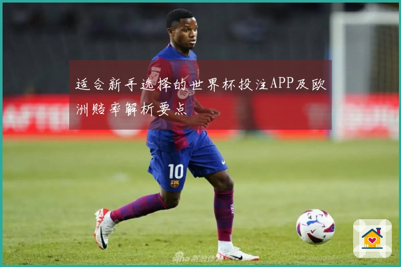 适合新手选择的世界杯投注APP及欧洲赔率解析要点