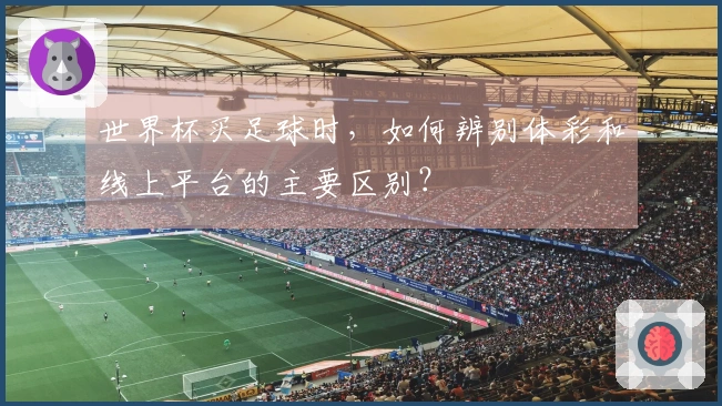 世界杯买足球时，如何辨别体彩和线上平台的主要区别？