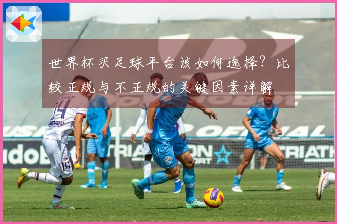 世界杯买足球平台该如何选择？比较正规与不正规的关键因素详解