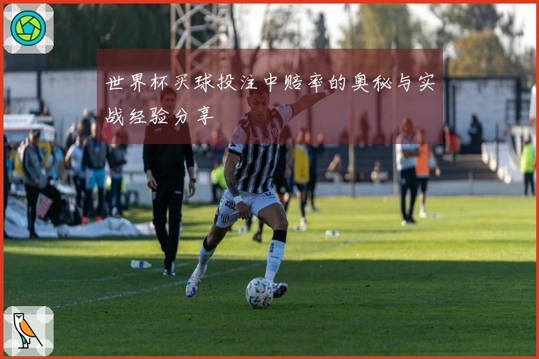 世界杯买球投注中赔率的奥秘与实战经验分享