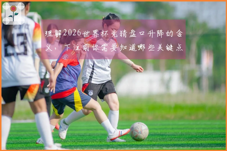 理解2026世界杯竞猜盘口升降的含义，下注前你需要知道哪些关键点？