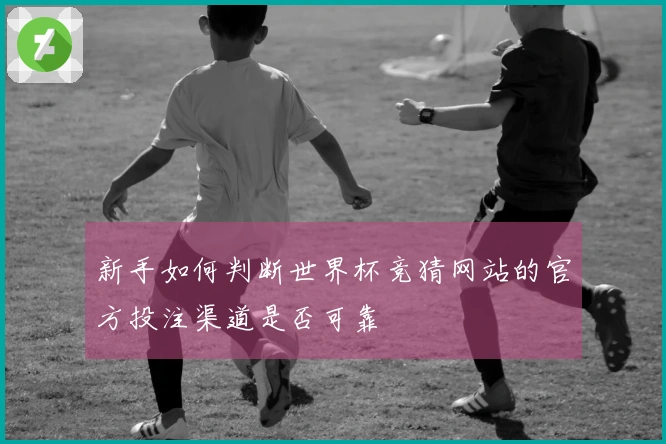 新手如何判断世界杯竞猜网站的官方投注渠道是否可靠