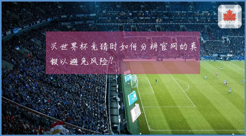 买世界杯竞猜时如何分辨官网的真假以避免风险？