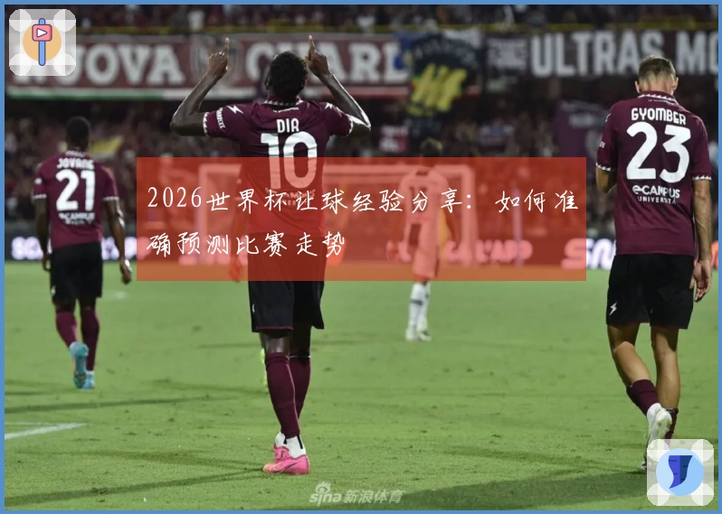 2026世界杯让球经验分享：如何准确预测比赛走势