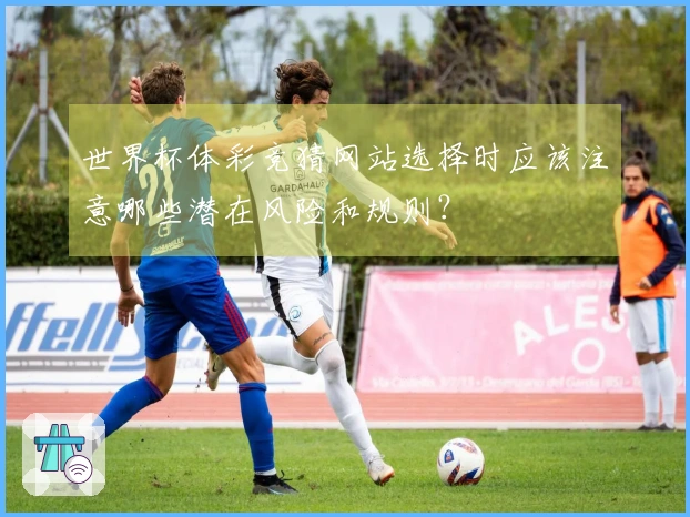 世界杯体彩竞猜网站选择时应该注意哪些潜在风险和规则？