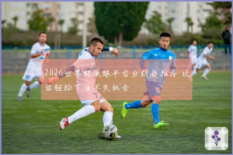 2026世界杯滚球平台分析与推荐 让你轻松下注不失机会