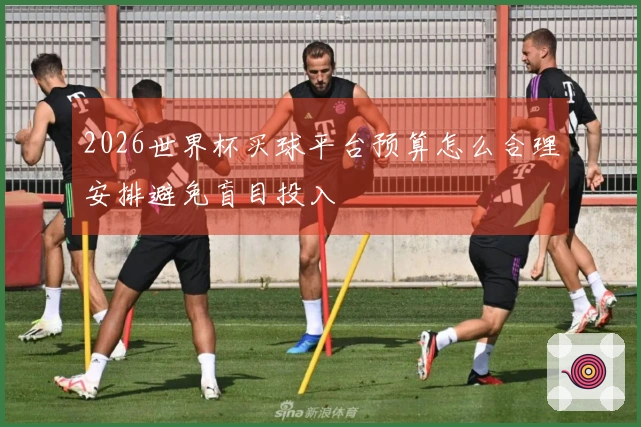 2026世界杯买球平台预算怎么合理安排避免盲目投入