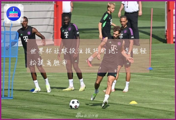 世界杯让球投注技巧对比：怎能轻松提高胜率