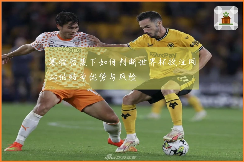 赛程密集下如何判断世界杯投注网站的赔率优势与风险