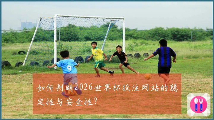 如何判断2026世界杯投注网站的稳定性与安全性？