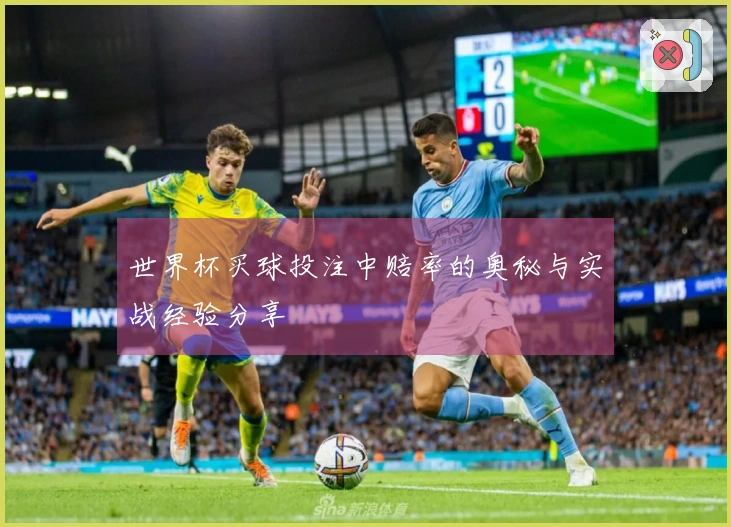 世界杯买球投注中赔率的奥秘与实战经验分享