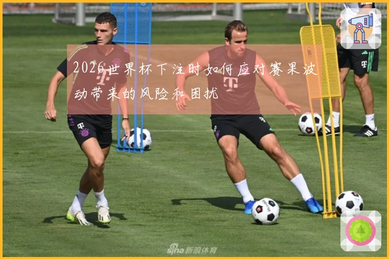 2026世界杯下注时如何应对赛果波动带来的风险和困扰