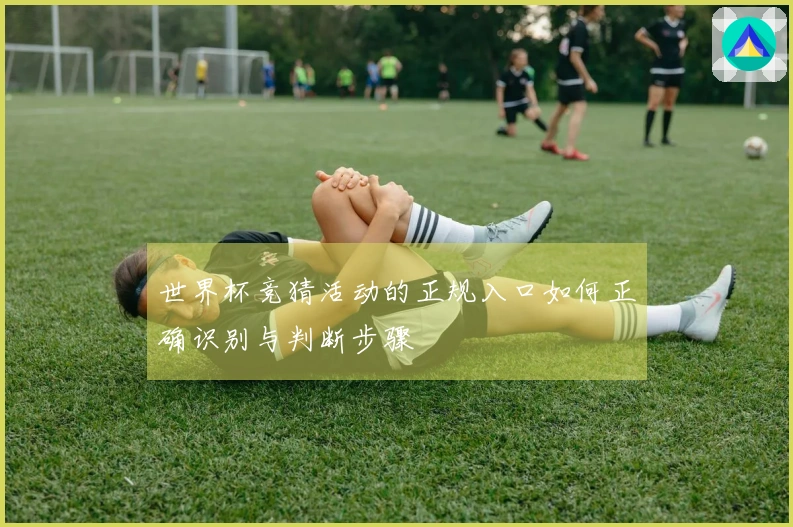 世界杯竞猜活动的正规入口如何正确识别与判断步骤