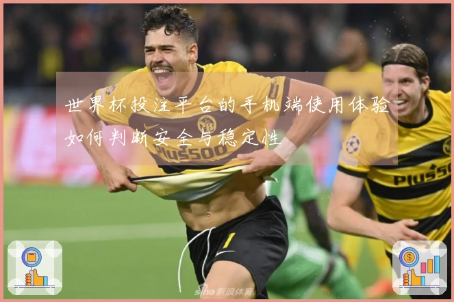 世界杯投注平台的手机端使用体验如何判断安全与稳定性