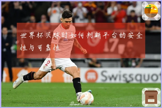 世界杯买球时如何判断平台的安全性与可靠性