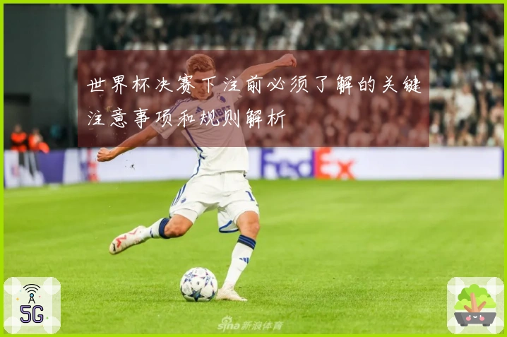 世界杯决赛下注前必须了解的关键注意事项和规则解析